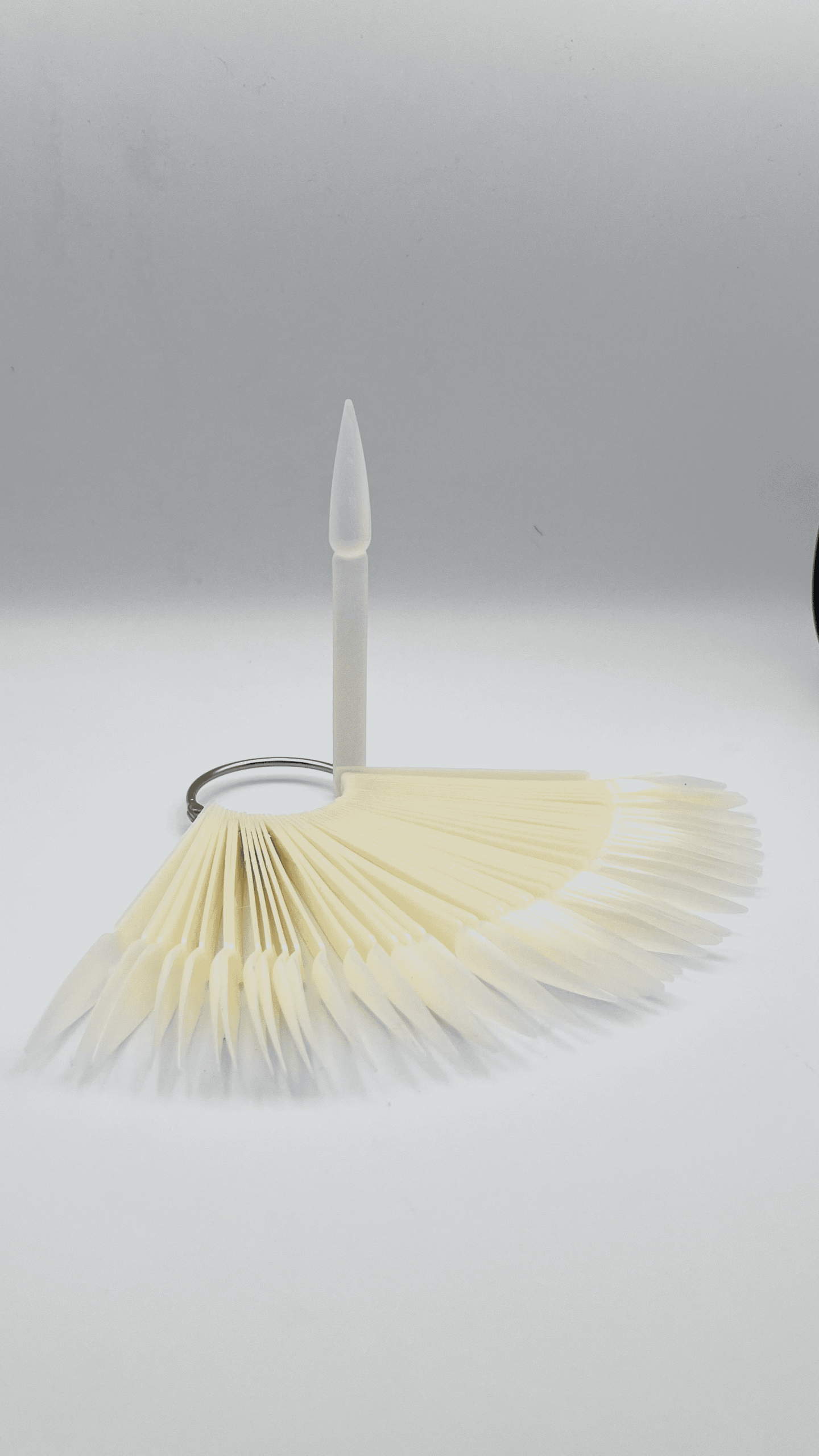 Nail Color Display Ring